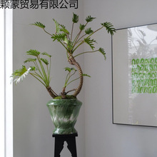 ���[��������̦�\���Ϙ��k���҃�����ˮ��ֲ������՚�����Gֲ