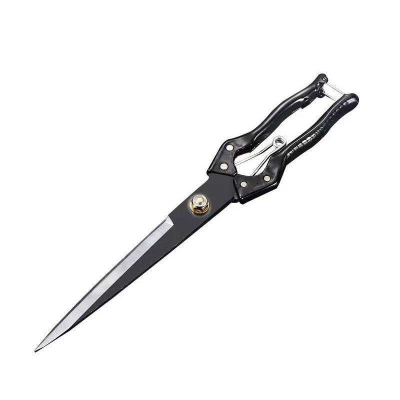 微信图片_20240219161122