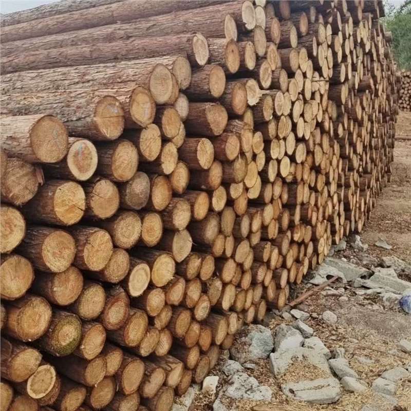 浙江丽水支撑杆带皮杉木桩松木桩河道工程打桩木护栏桩菜园围栏桩