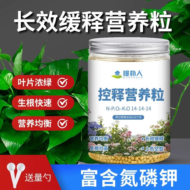 Желтые гранулы удобрений с контролируемым высвобождением Удобрение с медленным высвобождением Азот Фосфор Гранулы питания калия Ao Зеленое удобрение Комбинированное удобрение Роза мясистая Семейное Садоводство