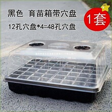 ֲ��B�А��B��������Ӹ��бP����Ǥ��N��͸�����N���⎧�w