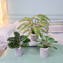 滨y^~O~Ꭷֲ҃b[Gֲ^쾰