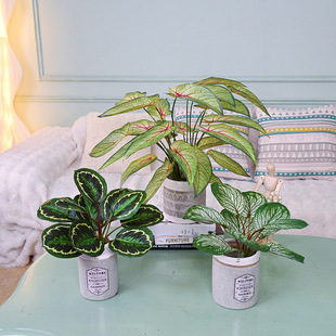 ���滨�y���^�~�����O���~�Ꭷֲ���҃��b��[���Gֲ�����^�쾰