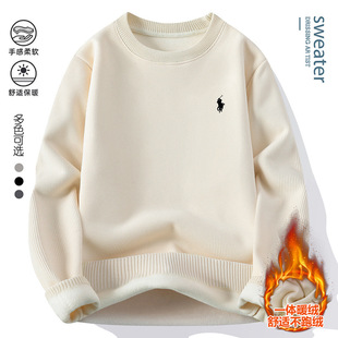 2025��������һ�w�q��ë�� �ӽq���^�̽�ë����-R857