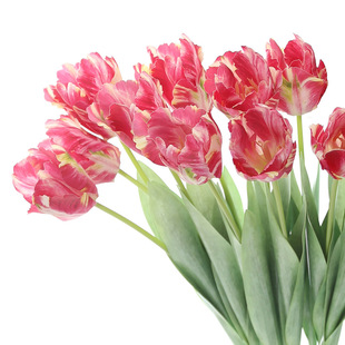 ������滨 �Ҿӿ͏d�����廨�[����c�û��Ĕz���߹��̻��ļٻ�