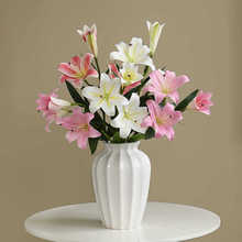 �߼�3d�ָаٺϻ��͏d�����ҕ���bٻ����滨�p�ݸߙn��ƿ�[��