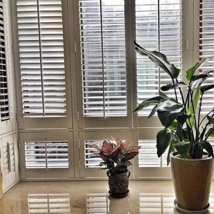 ��ľ���~�T�� ��Ӱ��~�T �͏d �̨ �����T ľ�|͸�ⴰ