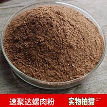 ���sӼ�����ӄ���������~��·��ζ�a�r���~ɢ�b���