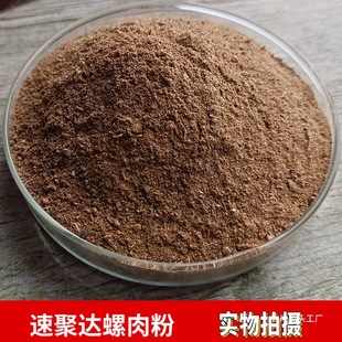 ���sӼ�����ӄ���������~��·��ζ�a�r���~ɢ�b���