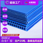 PP塑料中空板 可印刷中空垫板 加硬加克重中空板箱包板 厂家批发