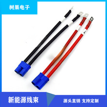 EC5�����Դ��EC5���^��ģ�B�Ӿ� ec5늳ع�ĸ10AWG ��������往