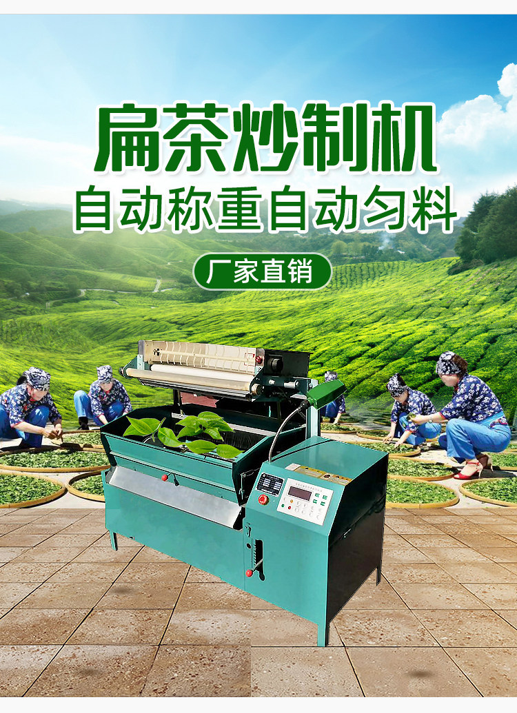 扁茶机龙井炒制机雀舌杀青炒制机