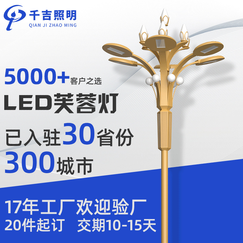 Senkichi Yulan lamp customized 8-12 outdoors Municipal administration Engineering Lamps square characteristic Scenery street lamp LED Hibiscus lamp