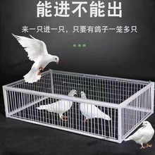 ¿\ӼܼӺײT\ӻ\F\픑\Ʒ