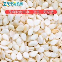 出口专用芝麻去皮机 芝麻清洗脱皮一体机 芝麻专用脱皮机
