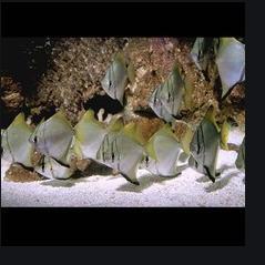 �S���K ˹���m���S���K��߅�K�~ �Ꭷ�~ �^�p�~  �^�p�~����