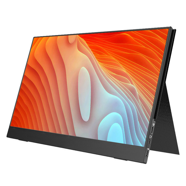 Handheld LCD display
