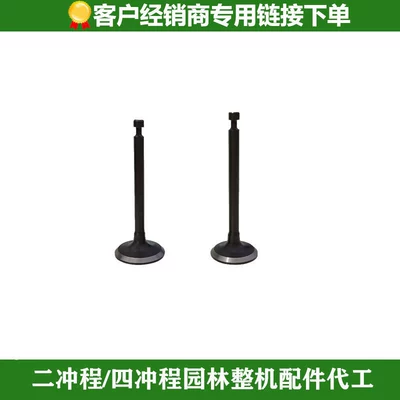 Gasoline Engine Blower, Fire Extinguisher, Gasoline Engine Oil - 151-intake-and-exhaust-valves