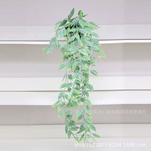 �羳�����ȼ����ٗl����~ �����_�㶹�Ғ����� �Gֲĥɰ�b��辰