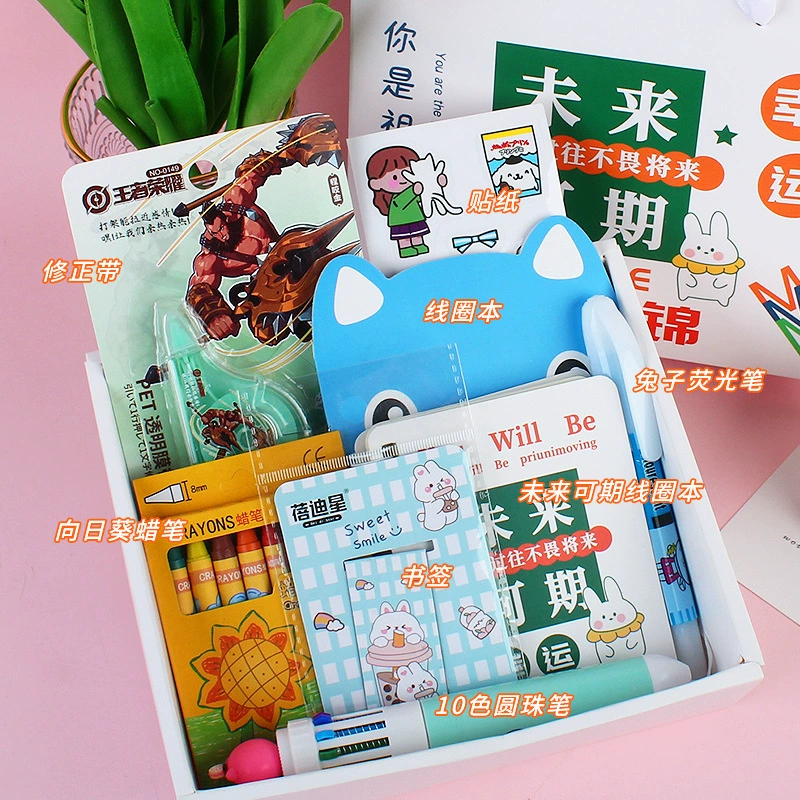 Set, stationery, gift box for students