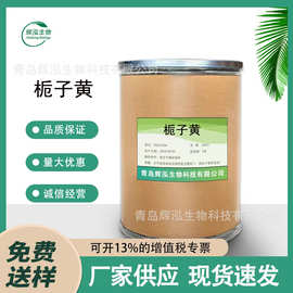 现货供应栀子黄色素 食品级水溶性黄色素复配着色剂栀子黄色素1kg
