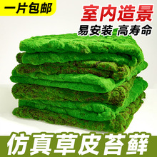 ����̦�\��Ƥ��̦diy�����辰��̺��O��ƺ��Ƥ΢���^�Gֲ�b�Ʒ