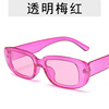 Trend brand sunglasses, glasses, suitable for import