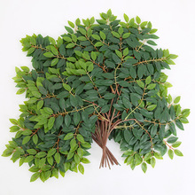 �����ܘ��~�ָИ�����Ϸ����~�Gɫֲ���b����ͼ٘�֦�羳����