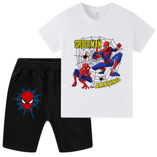 ֩��b/SpiderManӡ���ļ���ͯ�����ѝ���bWA1319