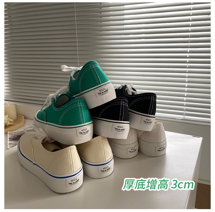阿里531_04.jpg