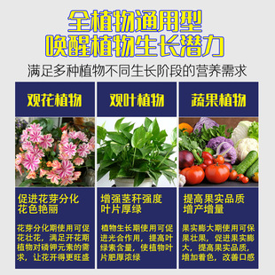 Zznm125 Ferrous Sulfate Flower Fertilizer Acid-Loving Gardenia Camellia Azalea Osmanthus Water-Soluble Fertilizer Household Fertilizer