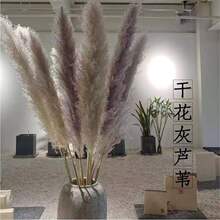 �JȔ�S�����l �W�t���JȔ�ɻ� ��Ȕ�����b[����c�����Ĕz����