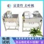 大叶气动定制富贵竹机器