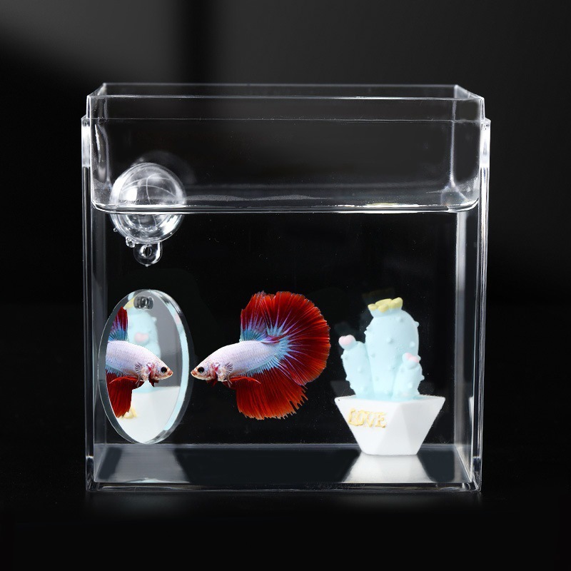 Escenografía Tailandia Betta pez ventosa espejo espejo suspensión interna y externa pequeña pecera entrenamiento espejo interactivo espectáculo espejo de ejercicio de cola