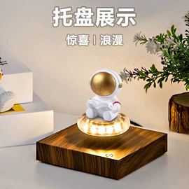 塑料工艺品;教学演示用品;小夜灯