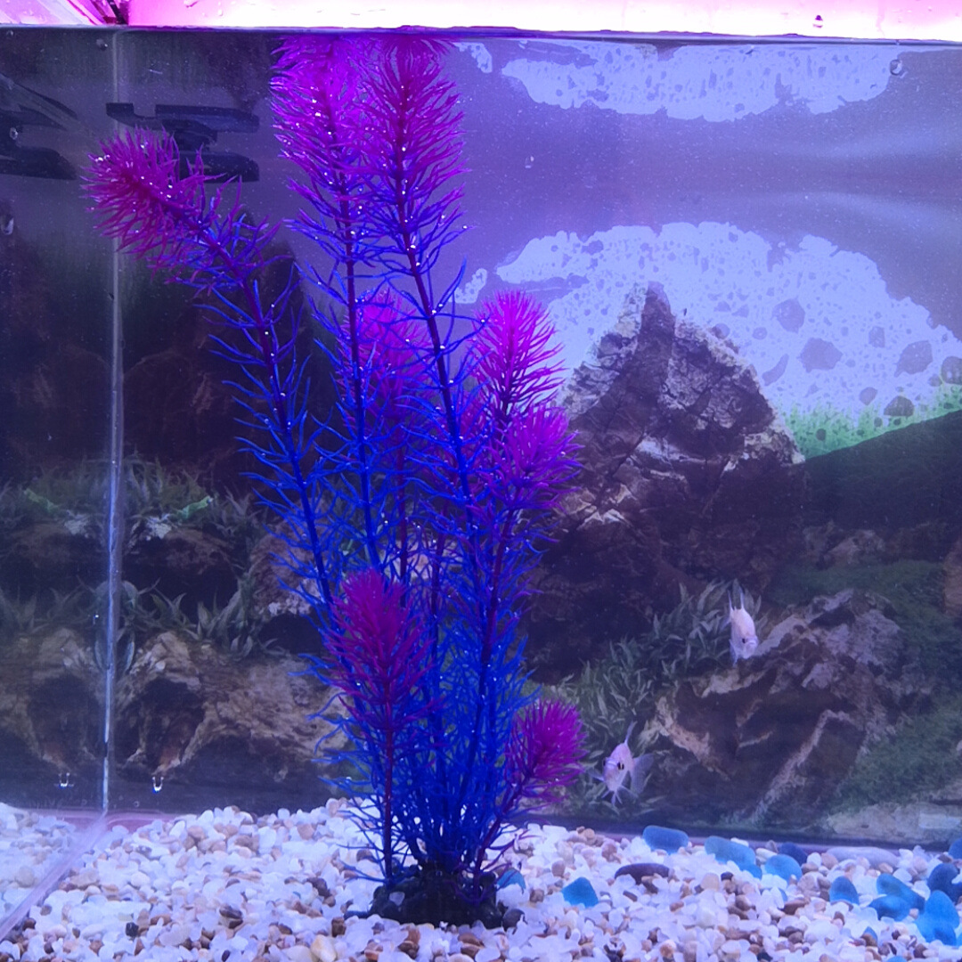 Fábrica de simulación de plantas acuáticas acuario paisajismo planta verde largo plantas acuáticas Comercio exterior paisajismo paquete combinado múltiple