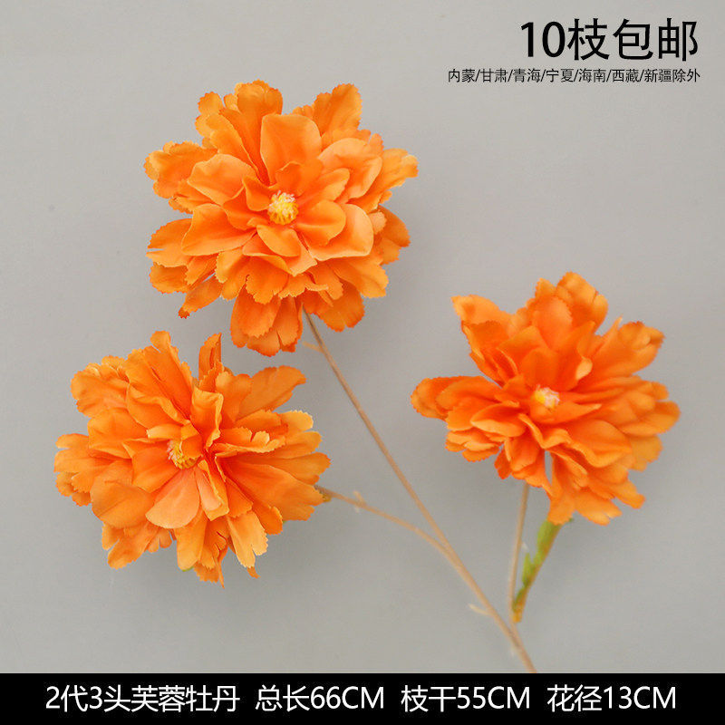 2代3头芙蓉牡丹