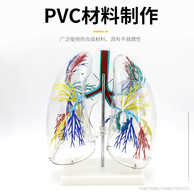 ��ģ��͸���ζν���ģ����������֧�������ṹ�����ϵͳ��ѧģ��