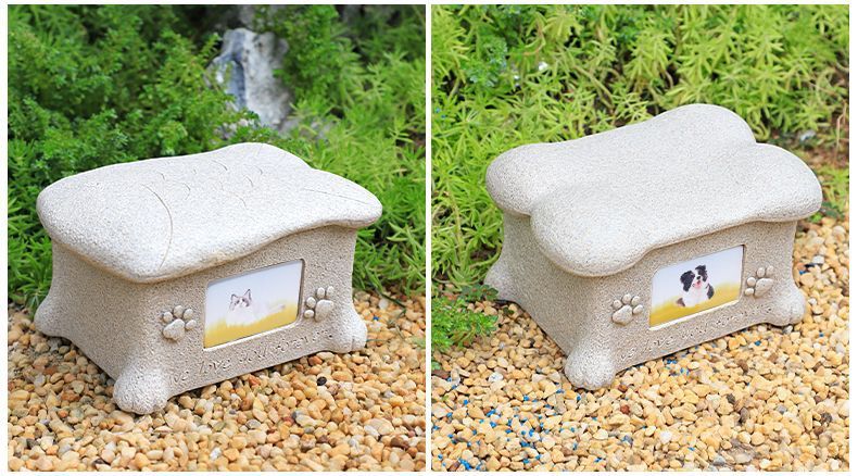 cde9e230-0593-4d14-bb07-e9f5d3187a29.jpe