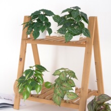 ��Ʒ ����Gֲ3D��ӡ�����~�ع��~ֲ�� �Ҿ��҃��b���߷���