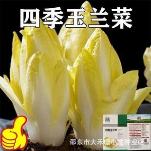 �����m�˷N��һ���ļ�������ܛ�������̨���԰����m���׻��ͺ�