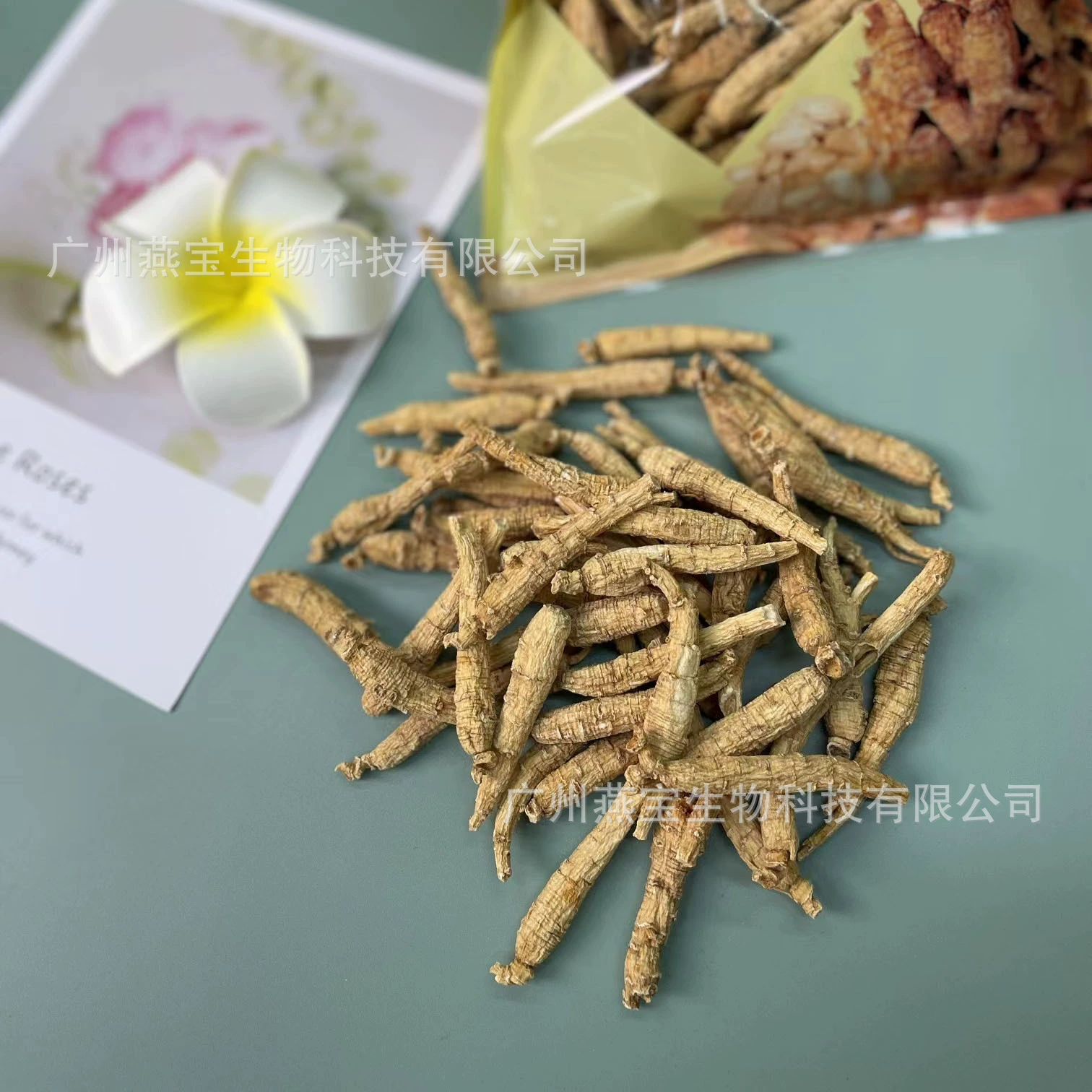 Канадский американский женьшень С Острым Хвостом 250 г Citi участвует в оптовой продаже Американского Женьшеня