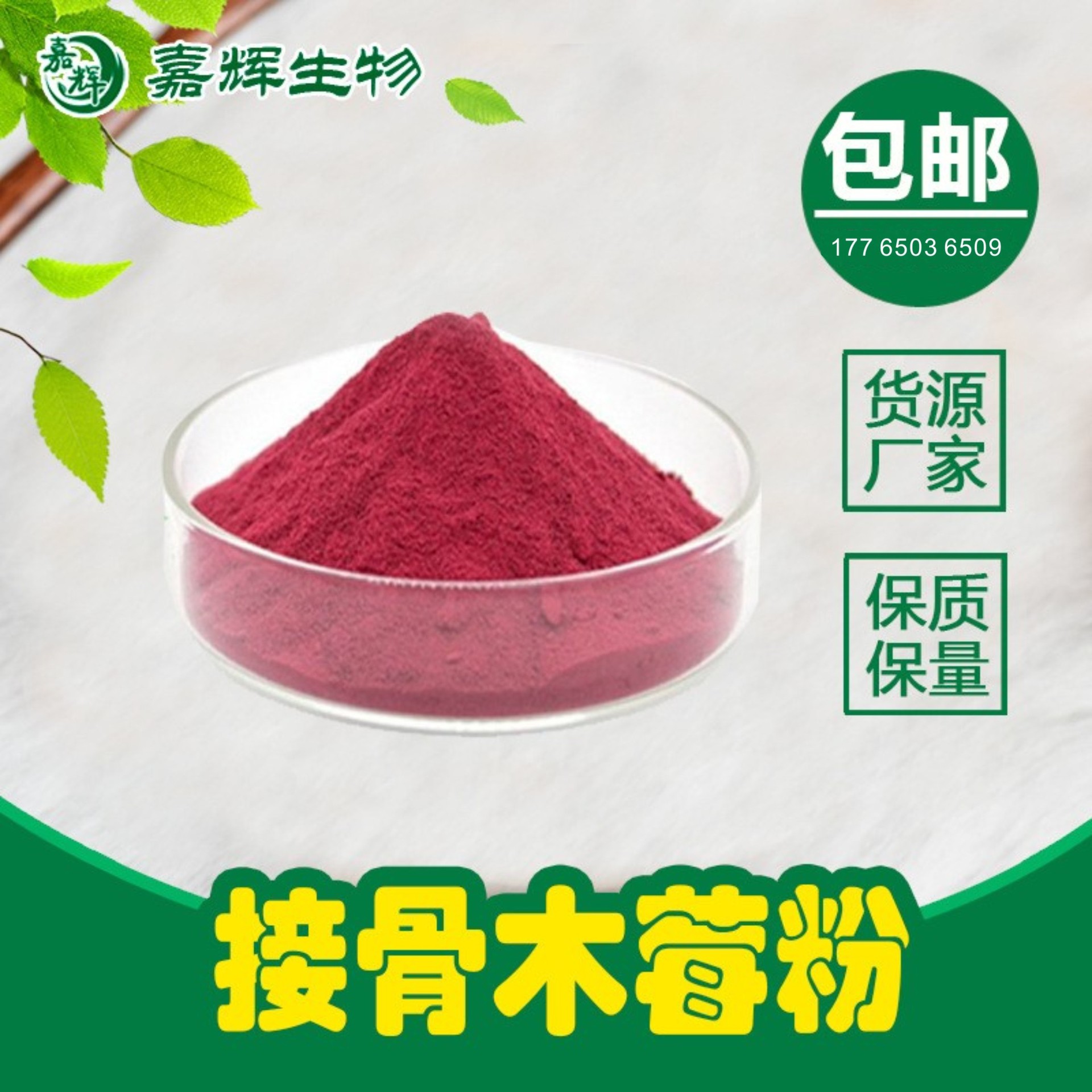 接骨木提取物 接骨木果粉 接骨木莓速溶粉 水溶性 厂家 现货 包邮