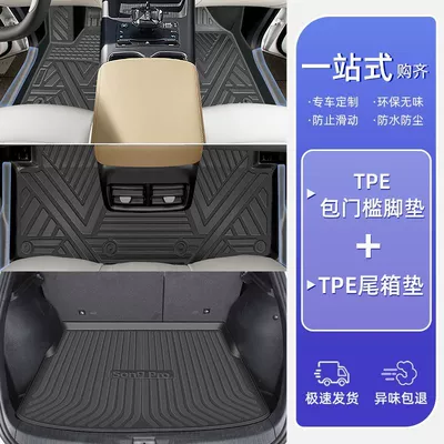 Suitable for BYD Song pro Ayaqaltılar (Kovriklər) - 25-models-byd-song-prodmihigh-end-full-surround-tpe-bag-thresholdsingle-layer-floor-mat-trunk-mat