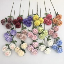 �羳��֦õ����滨���^�ٻ���c���Ż��������͏d�߼��в廨�[��