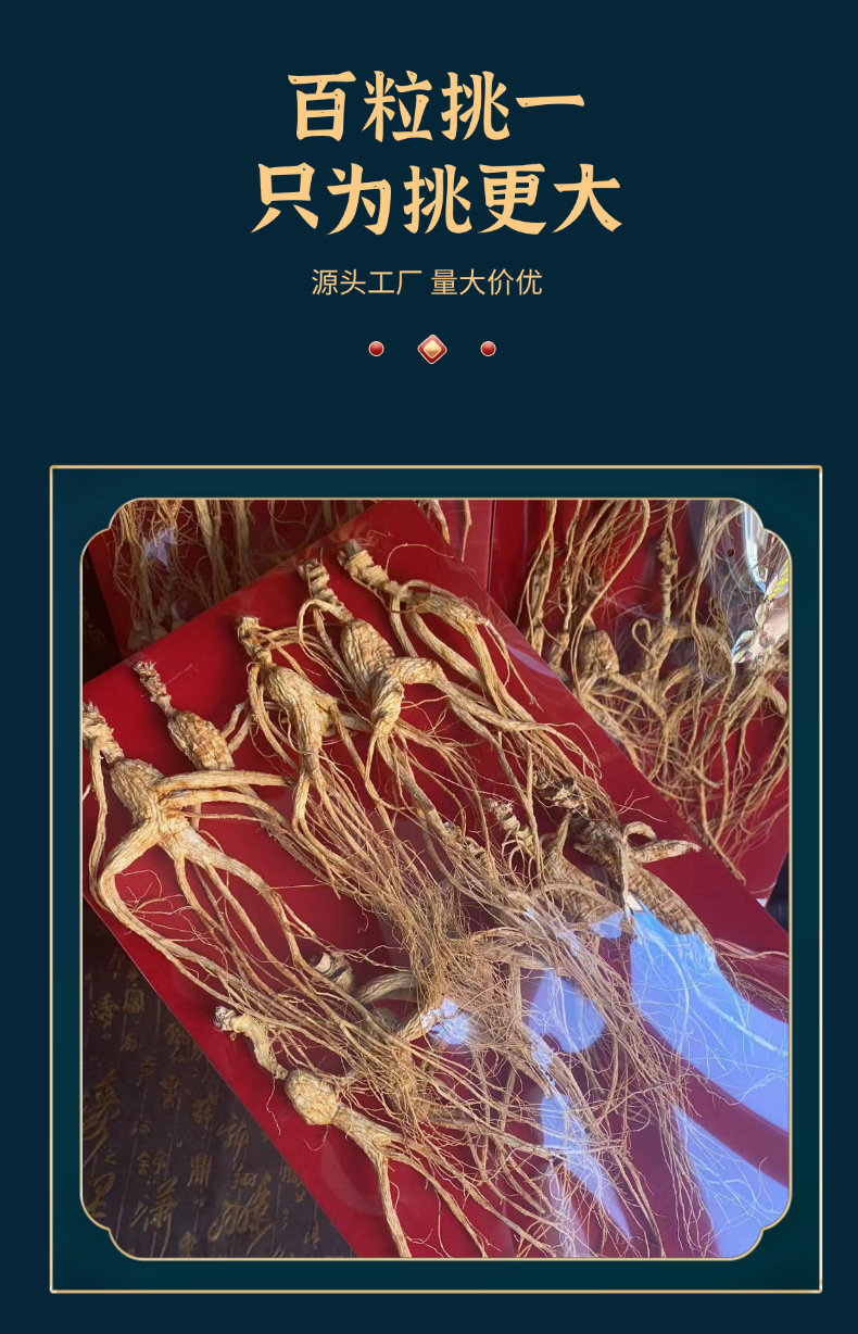 Dried Forest Ginseng Root Slices 100g Sun Dried Jilin Ginseng for Cooking and Decoction quality and texture