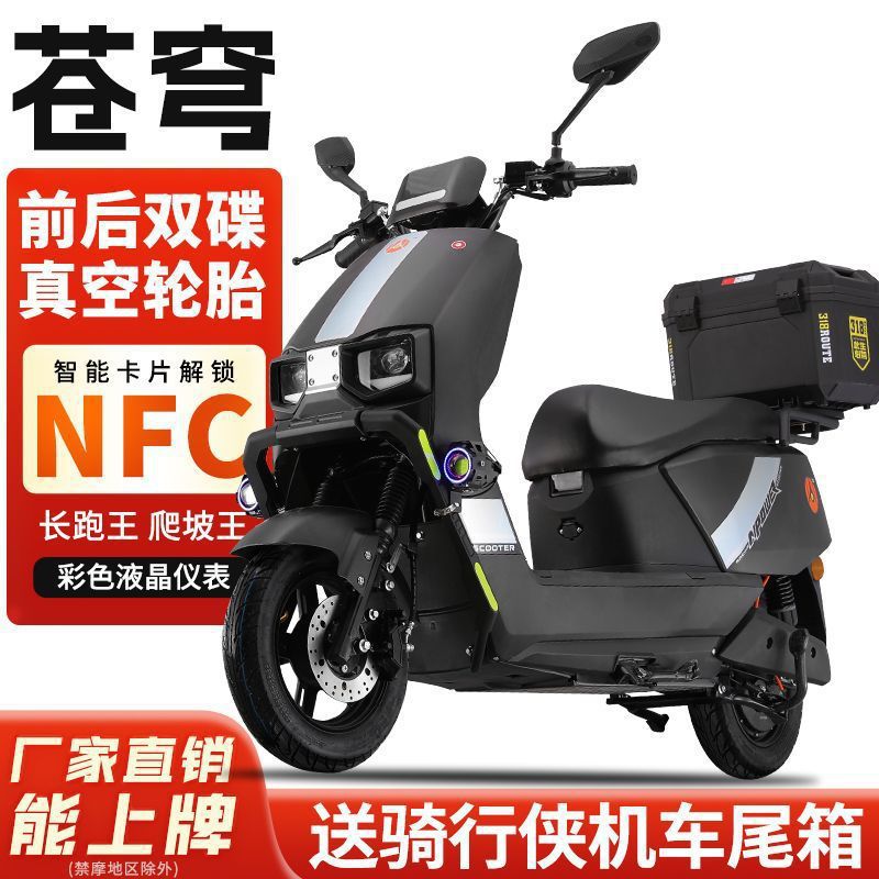 96v 3000w | Motuoche Auto Parts and Accessories - trunk-dual-disc-brake-72v-6-graphene-black-gold-large-battery-38ah