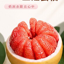 正宗新鲜三红蜜柚新鲜应当季水果现摘平和三红柚子原产地现摘整箱