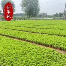 �������ļ��׷N�׻��ͺ��ͺ������̨ͥԺ�@�־��^�������̾G��