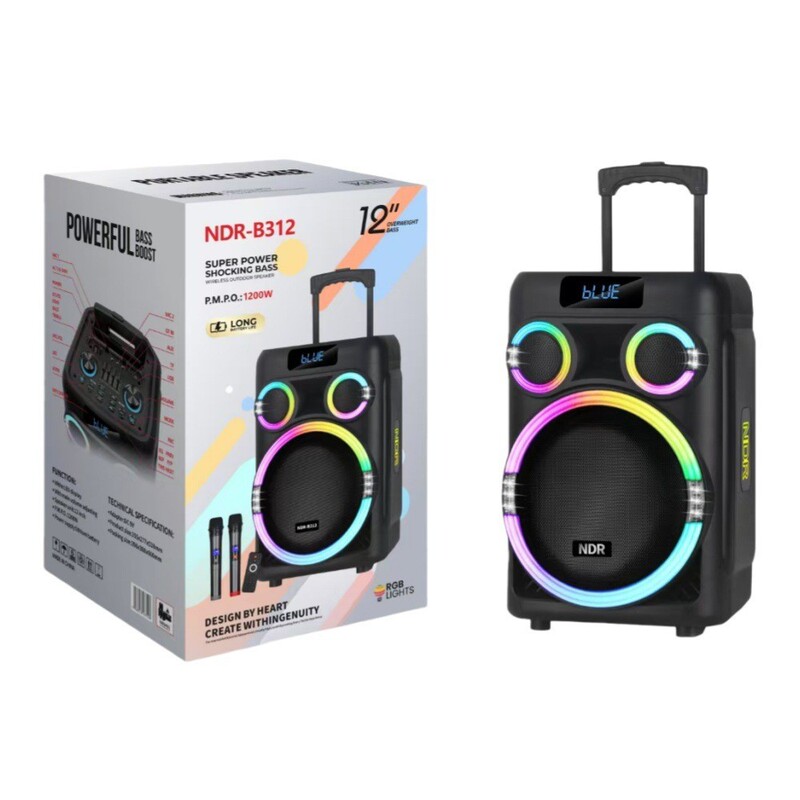 Ndr 12inch Square Dance Speaker Ktv Portable Karaoke Outdoor Bluetooth Speaker for Singing and Dancing C312